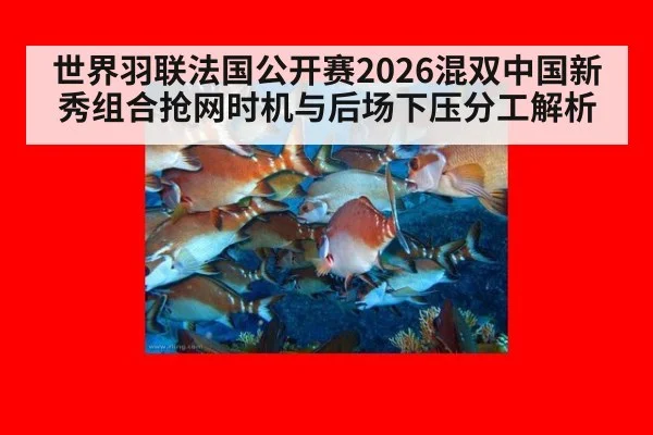 世界羽联法国公开赛2026混双中国新秀组合抢网时机与后场下压分工解析